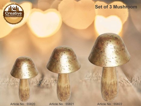 Mushroom Creative International Exports products