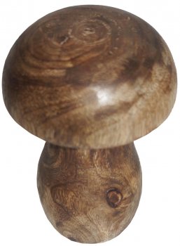 Mushroom Creative International Exports products