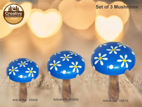 Mushrooms Creative International Exports products