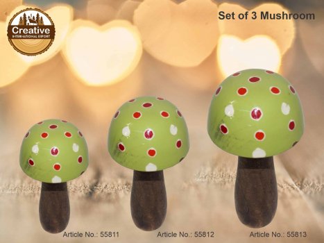 Mushroom Creative International Exports products