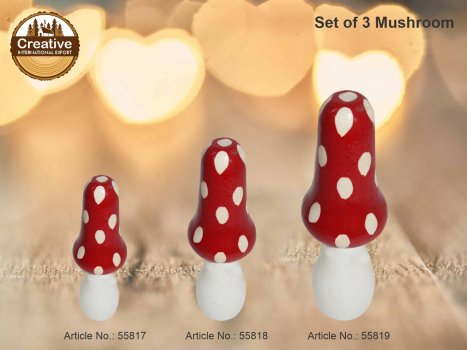 Mushroom Creative International Exports products